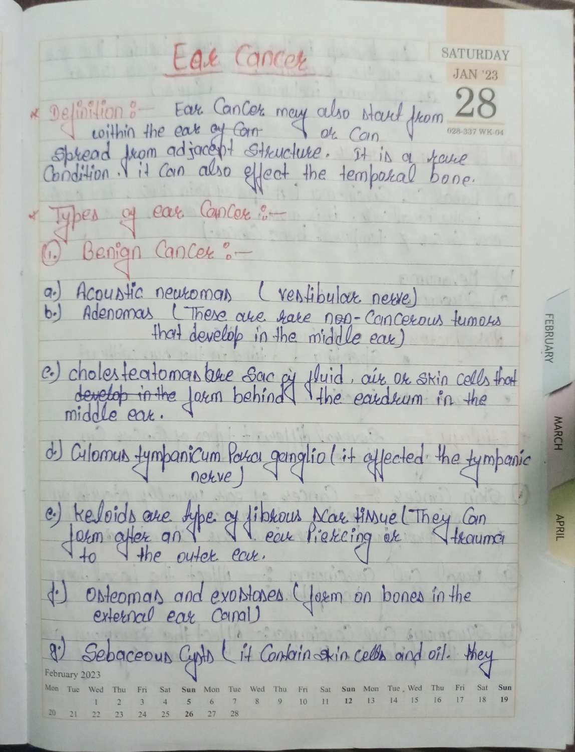 Page 1 Preview