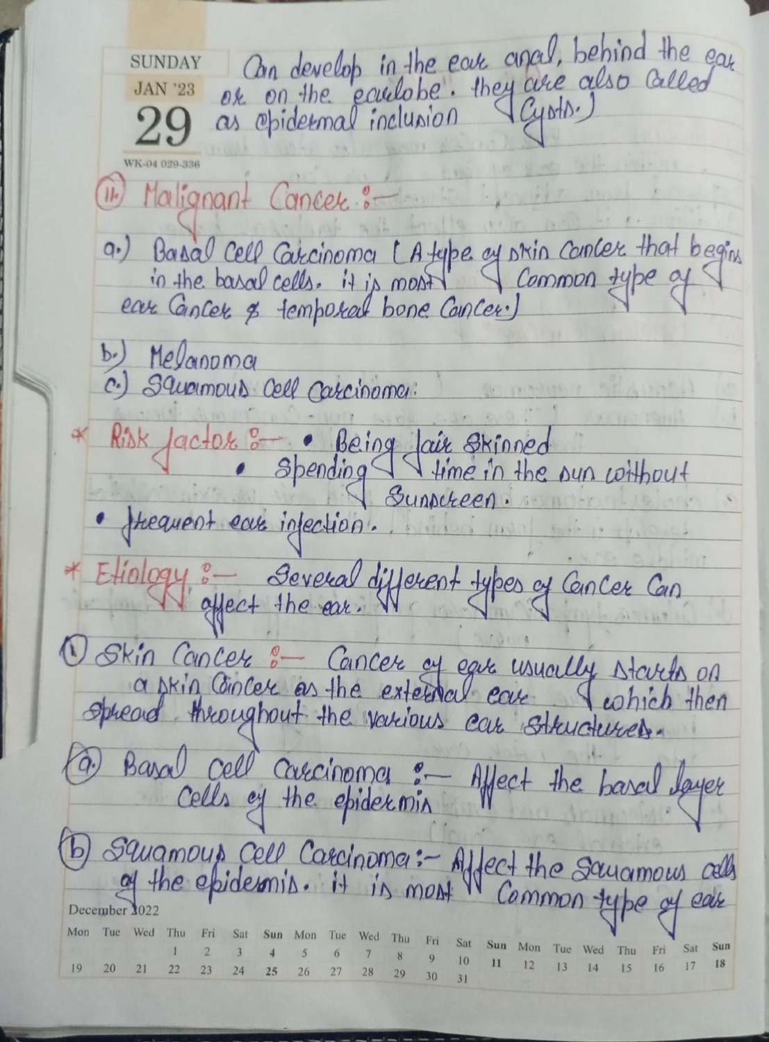 Page 2 Preview