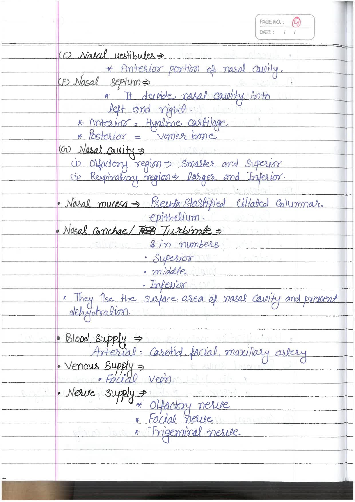 Page 4 Preview Overlay